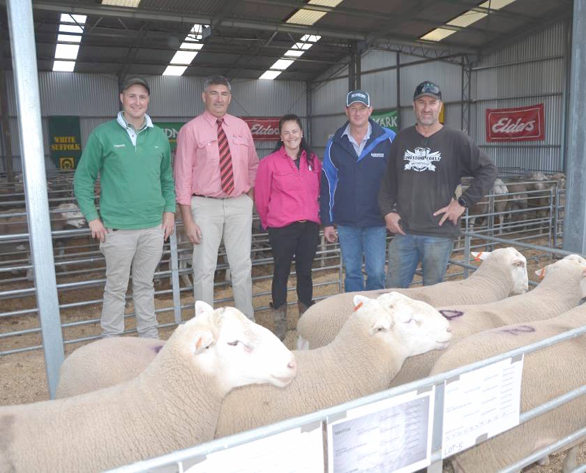 2019 White Suffolk and Suffolk Ram Sale